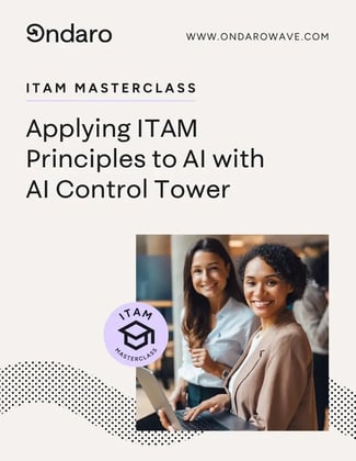 ITAM-Part-8-cover