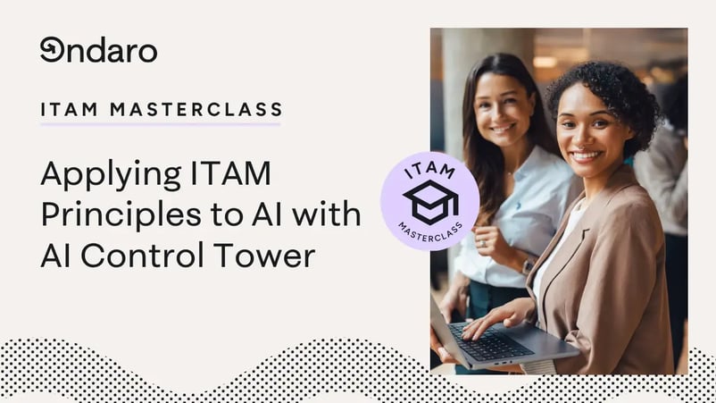 ITAM-Part-8-unlocked