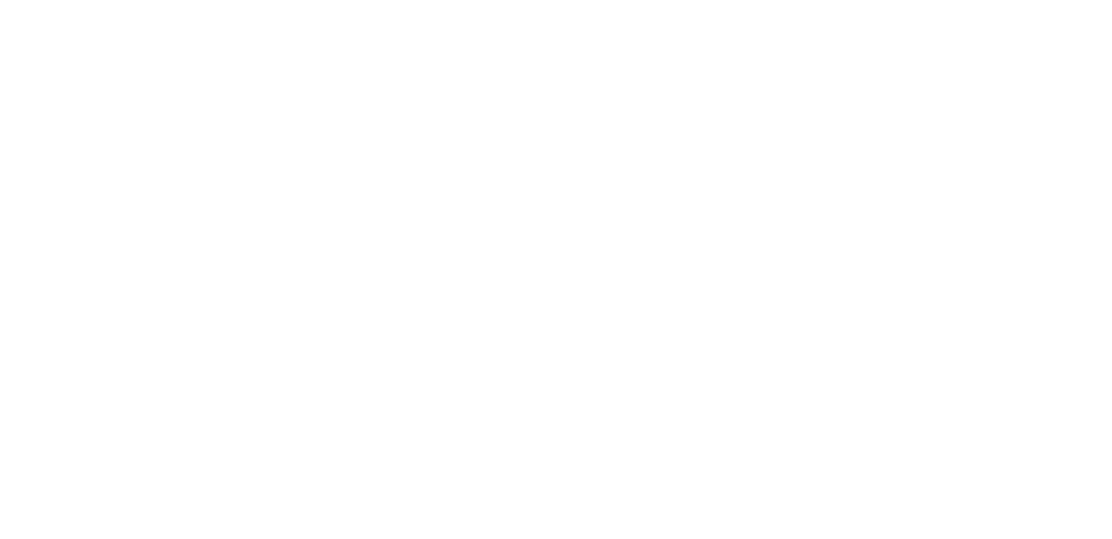 TX-DIR-logo